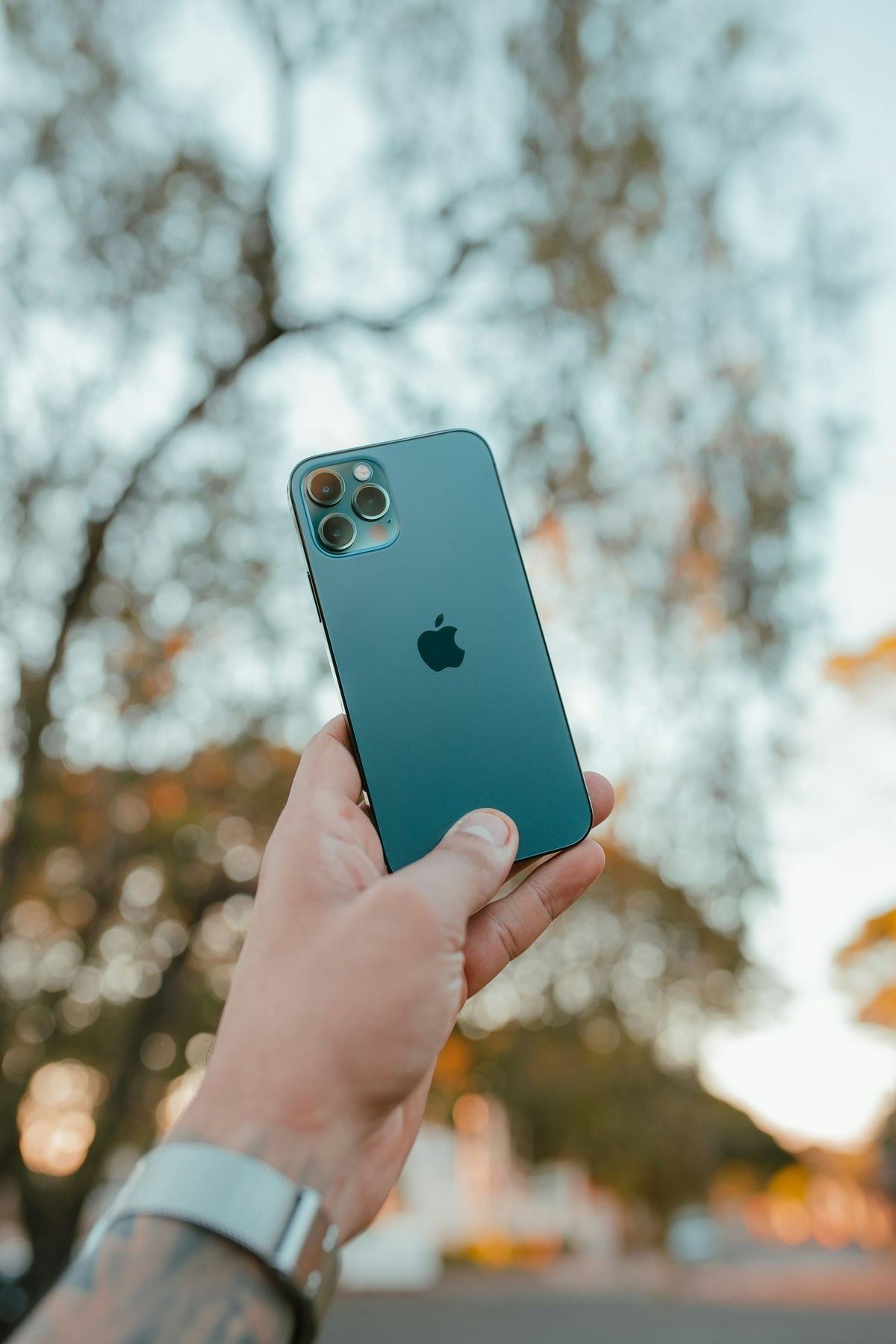 Phone functional test visual